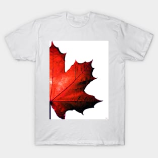 Maple T-Shirt